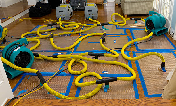 Professional Storm Water Damage Restoration technician working in Junction City, OH